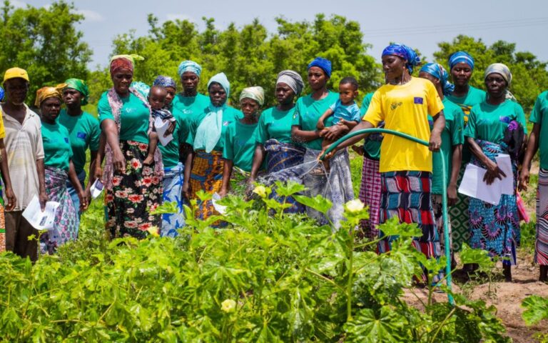 Connecting Agribusinesses With New Opportunities