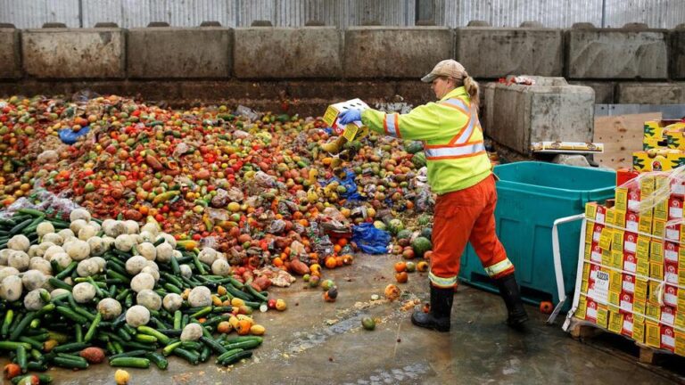 Solutions to Minimize Food Wastage