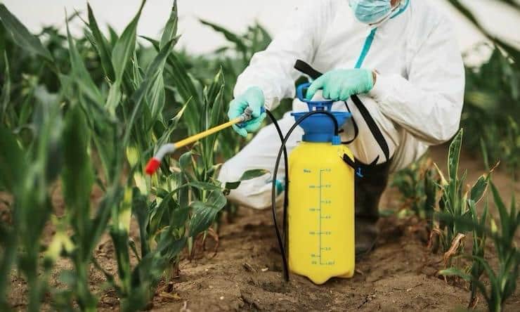Integrated Pest Management: A Farmer’s Guide