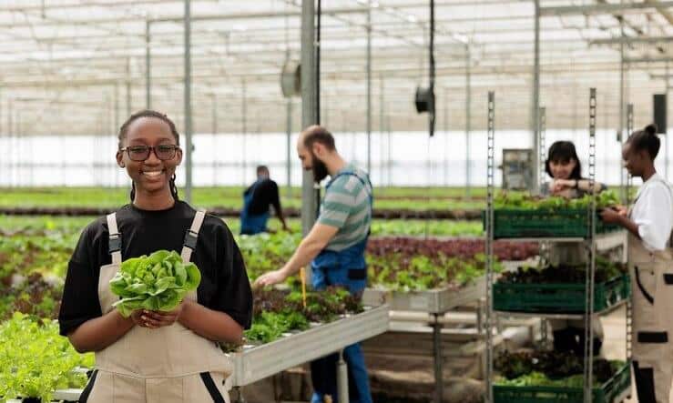 7 Steps to Boost Your Crop Yield This Season