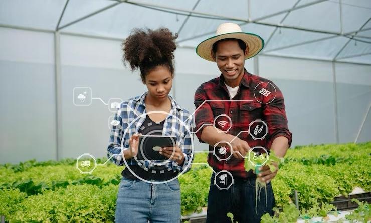 Top 5 Innovations Transforming Agriculture in 2024