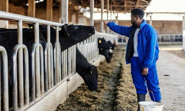 Managing Livestock Health: A Farmer’s Toolkit
