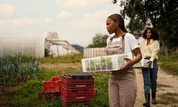 How to Minimize Post-Harvest Losses