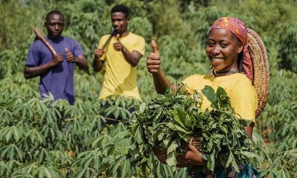 Ama’s Journey to Becoming a Top Cocoa Farmer
