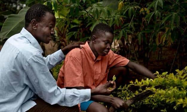The Future of Agripreneurship in Africa