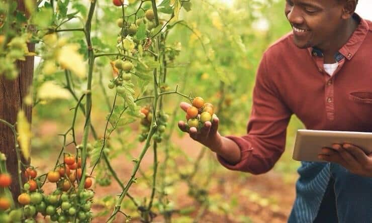 Top 5 Eco-Friendly Farming Techniques for Farmers